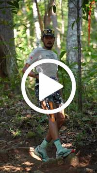 BIB:  <button type="button" onclick="openModal(27576697)" class="btn btn-primary btn-sm float-right" data-toggle="modal" data-target=".modal-high-quality">
                <i class="fa fa-download"></i> Download
                </button>